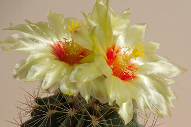 Similar image 412722