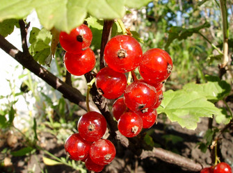 Similar image 412723