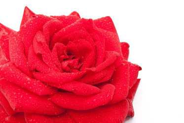 Similar image 412727