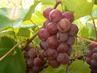 Similar image 412730