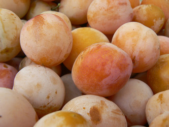 Similar image 412732