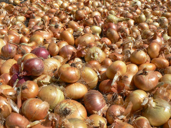 Similar image 412734