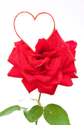 Similar image 412735