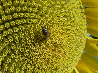 Similar image 412737