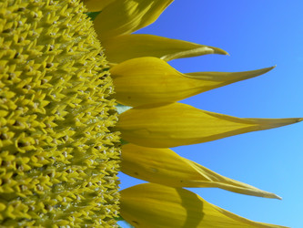 Similar image 412739