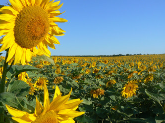 Similar image 412740