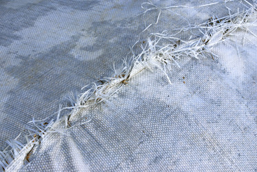 Similar image 412775