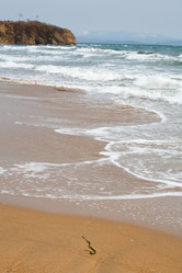 Similar image 412841