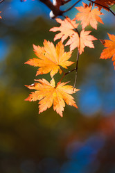 Similar image 412852