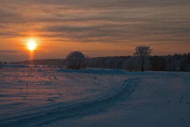 Similar image 413046