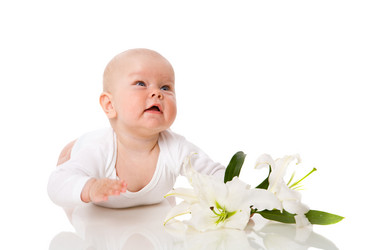 Similar image 413083