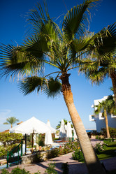 Similar image 413145