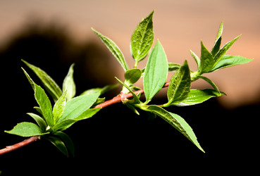 Similar image 413175