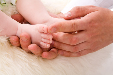 Similar image 413329