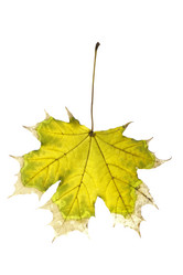 Similar image 413408