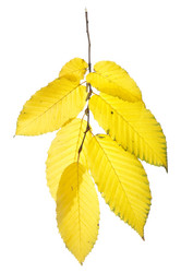 Similar image 413410