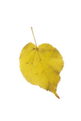 Similar image 413414