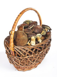 Similar image 413425