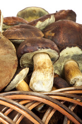 Similar image 413427