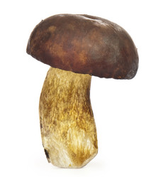 Similar image 413431