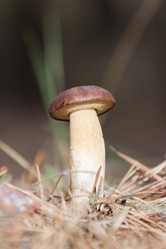 Similar image 413435