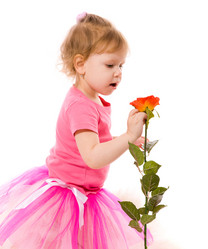 Similar image 413824