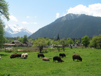 Similar image 413935