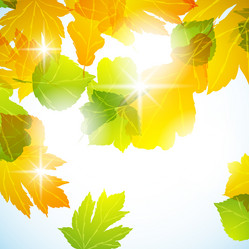 Similar image 414209