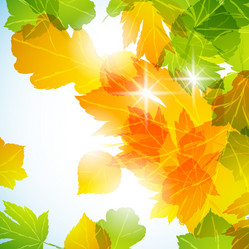 Similar image 414212