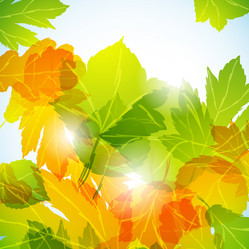 Similar image 414214