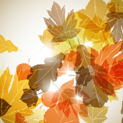 Similar image 414216