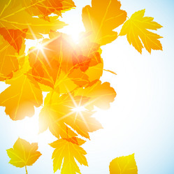 Similar image 414223