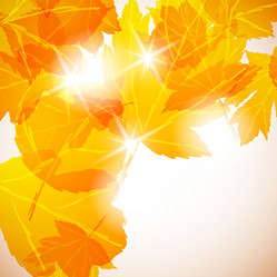 Similar image 414227