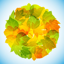 Similar image 414228