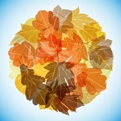 Similar image 414231