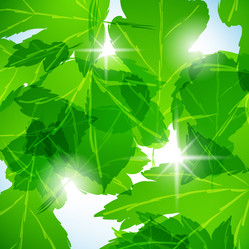 Similar image 414248