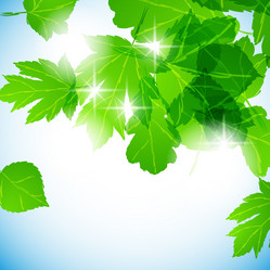 Similar image 414250