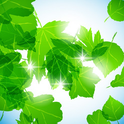 Similar image 414252