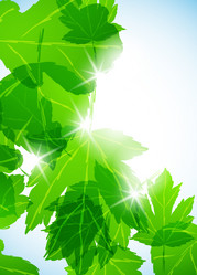 Similar image 414259