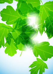 Similar image 414260