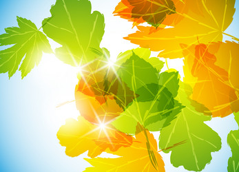 Similar image 414284