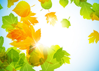 Similar image 414285