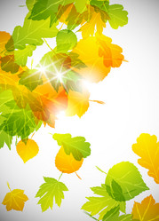 Similar image 414286