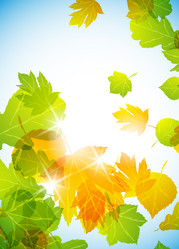 Similar image 414288