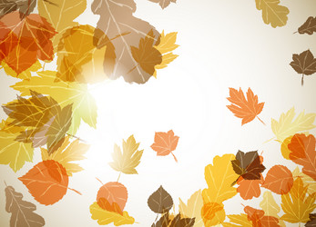 Similar image 414305