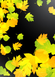 Similar image 414324