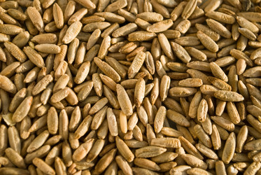 Similar image 414804