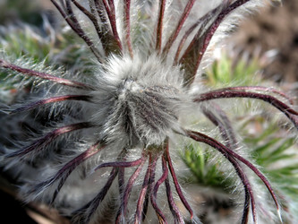 Similar image 414911