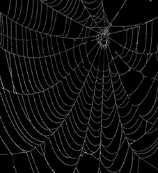 Similar image 414922