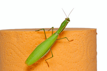 Similar image 415022